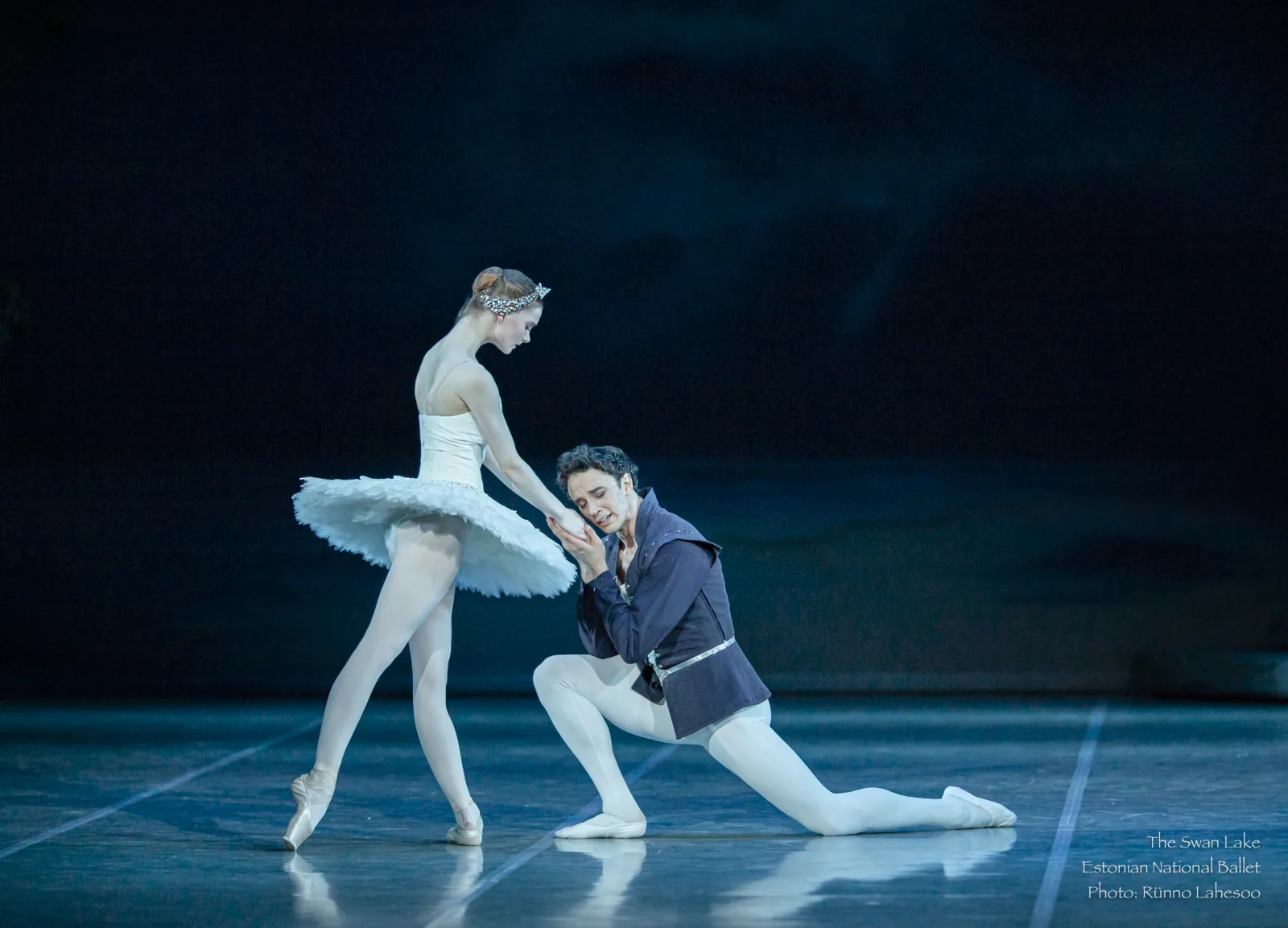 Kealan McLaughlin in Swan Lake — photo Rünno Lahesoo